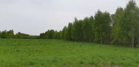 Участок 1 42