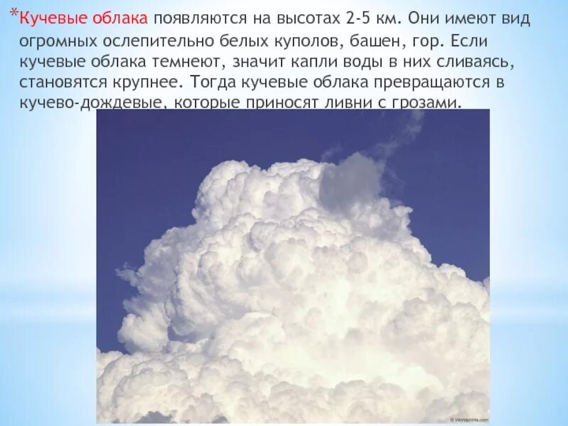 Низко образующиеся облака. Причины образования облаков. Кучевые облака. Осадки из кучевых облаков. Кучевые облака образуются.