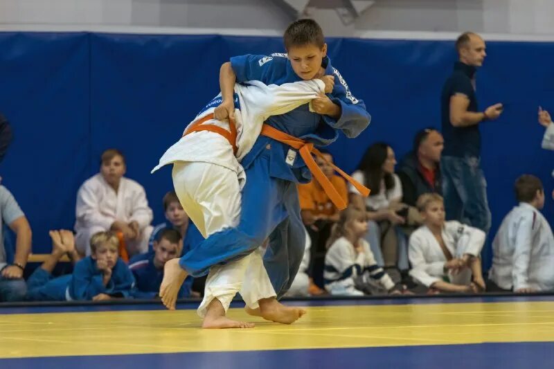 соревнования воронеж по дзюдо. дзюдо фото. дзюдо воронеж. ск обь тхэквондо. дзюдо девушки.