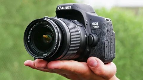 Какие фотоаппараты профессиональные