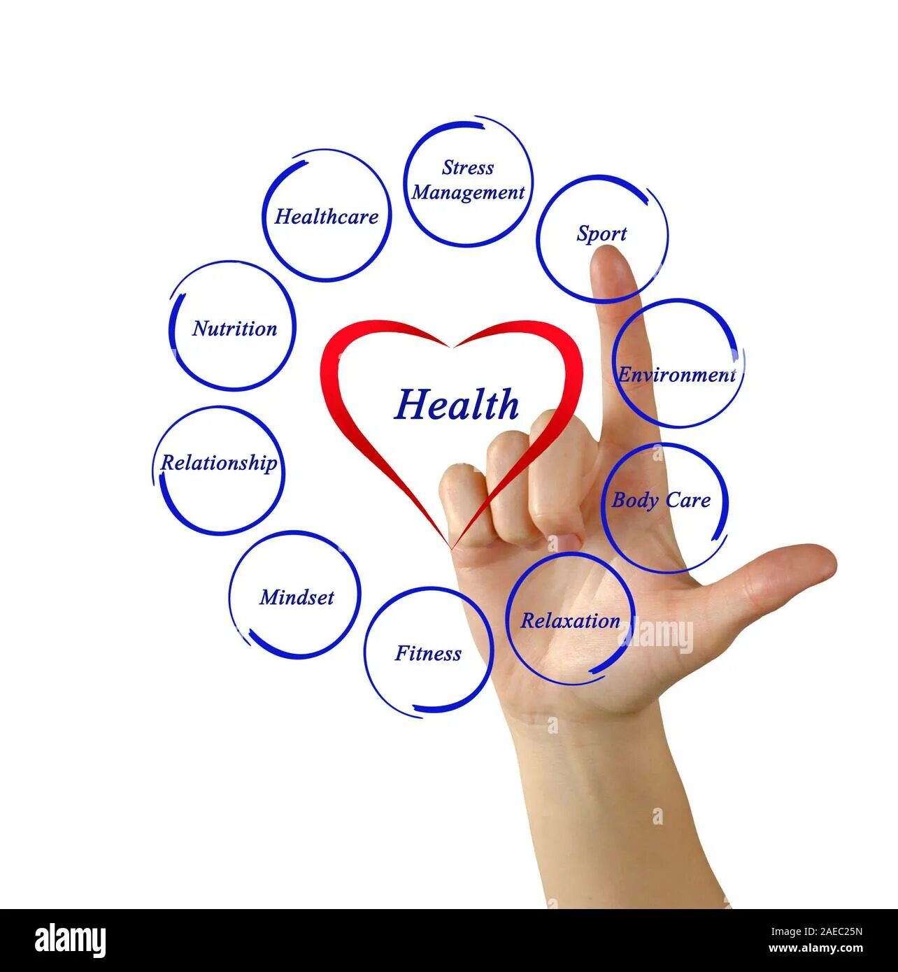 Переведи health. Health diagram. Good for Health. Health diagram it.