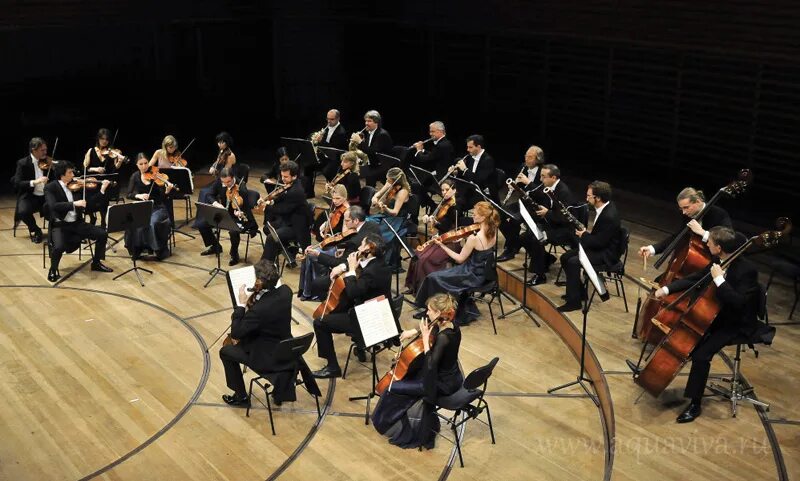 Symphony plays. Новозеландский симфонический оркестр. Symphony plays. Большой симфонический оркестр имени п. Symphony plays.