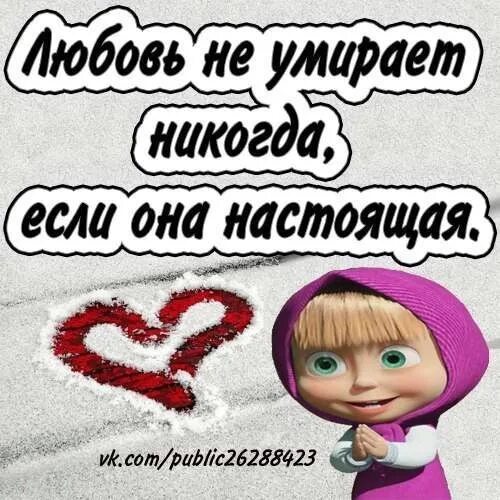 Любящая маша. Люблю тебя маша и медведь. маша и медведь любовь любовь. маша любит медведя. я соскучилась маша и медведь.