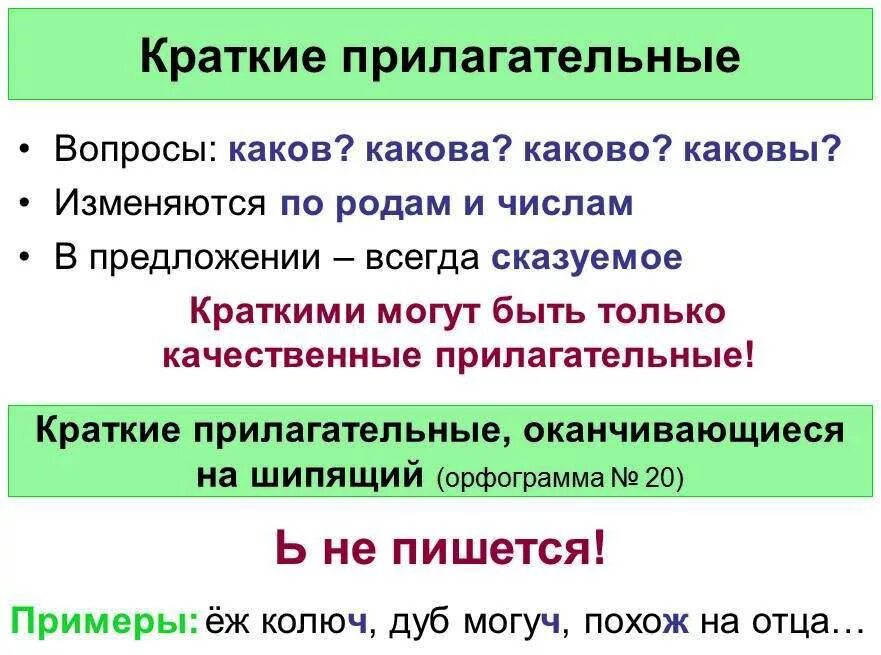 В каком классе изучают краткие прилагательные