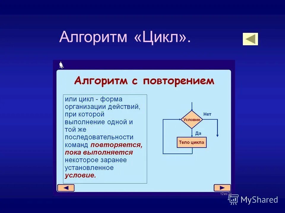 Алгоритмы информатика доклад. Алгоритм цикл. Что такое цикл в информатике. Циклы алгоритмов Информатика. Цикл в информатике примеры.