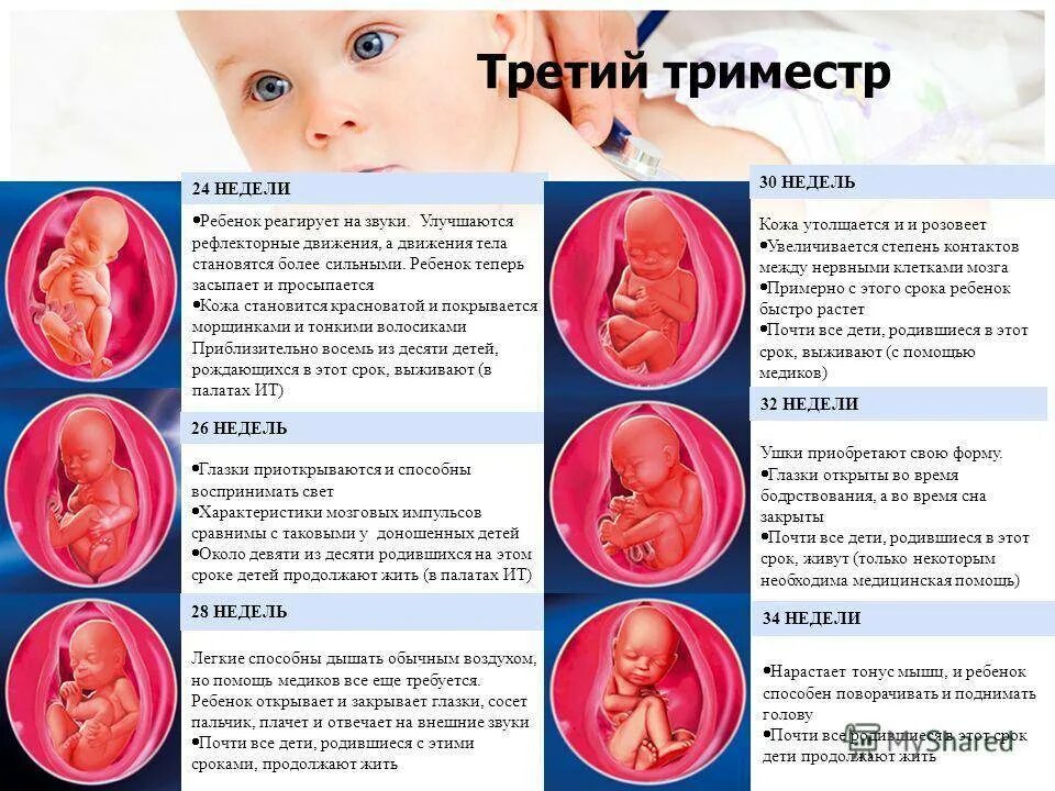 Беременность 3 недели что делать. 3 Третий триместр беременности. Начало третьего триместра беременности. Триместры беременности. Третий триммер беременности.