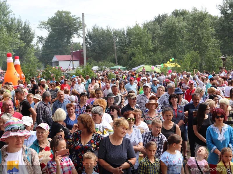 Романово Алтайский край. Село Романово Алтайский край Романовский район. Школа село Романово Алтайский край. Село Романово Алтайский край Романовский район школа. Погода романово алтайский край неделю