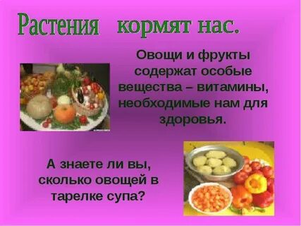 Кормим растения