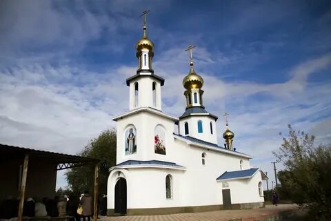 Ольховая луганская