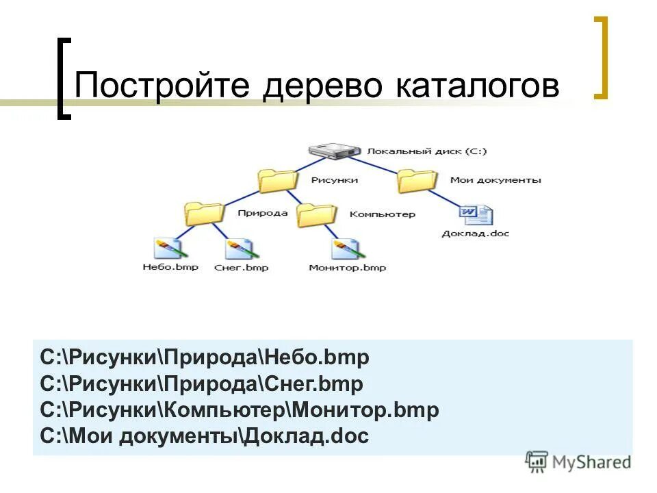 Древо каталогов. Дерево каталогов информатика. Дерево каталогов. Построить дерево каталогов. Дерево каталогов.