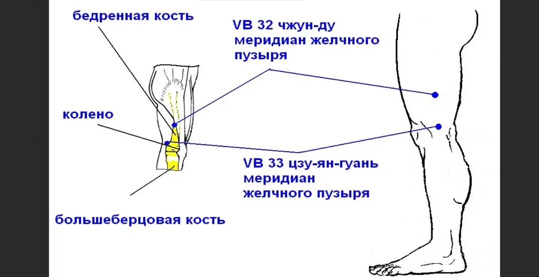 После бега болят колени что делать. Место под коленкой. Мышцы под коленкой. Энтезопатия коленного сустава.