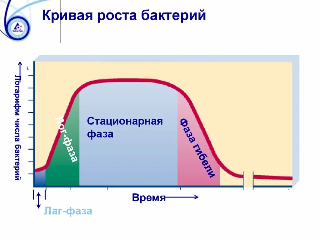 Порошок для приготовления питательной среды. Стимуляторы роста микроорганизмов. Микориза для рассады 10гр. Дипслайды микробиология. Стимуляторы роста микроорганизмов.