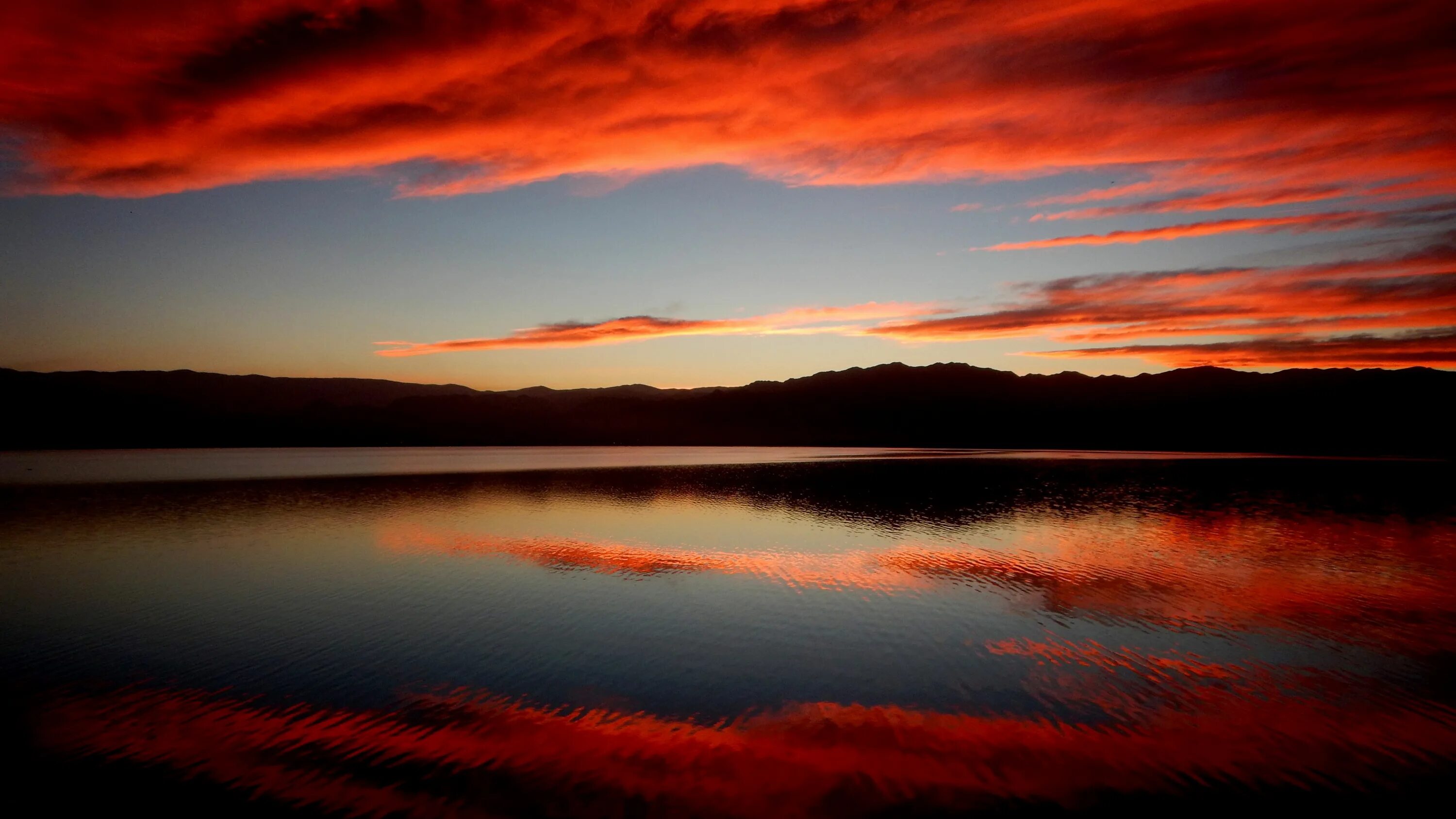 Reflection 4