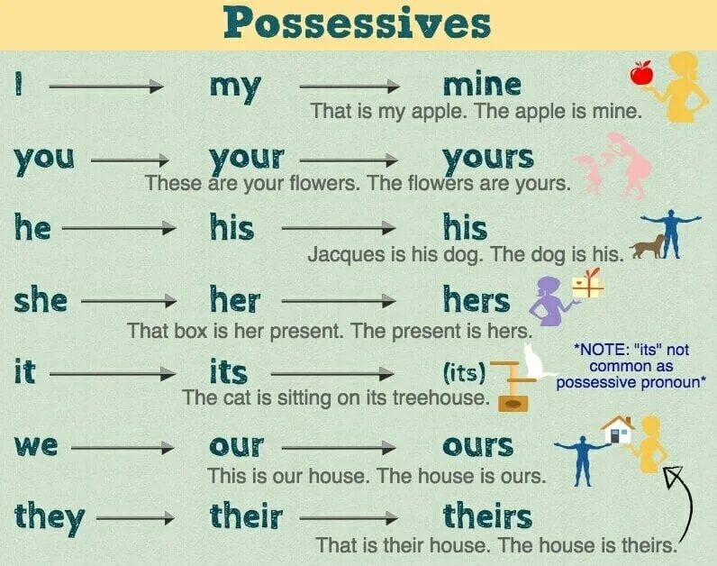 What s your plan. Possessive pronouns в английском языке. Possessive pronouns правило. Местоимения в английском языке. Грамматика местоимения в английском.