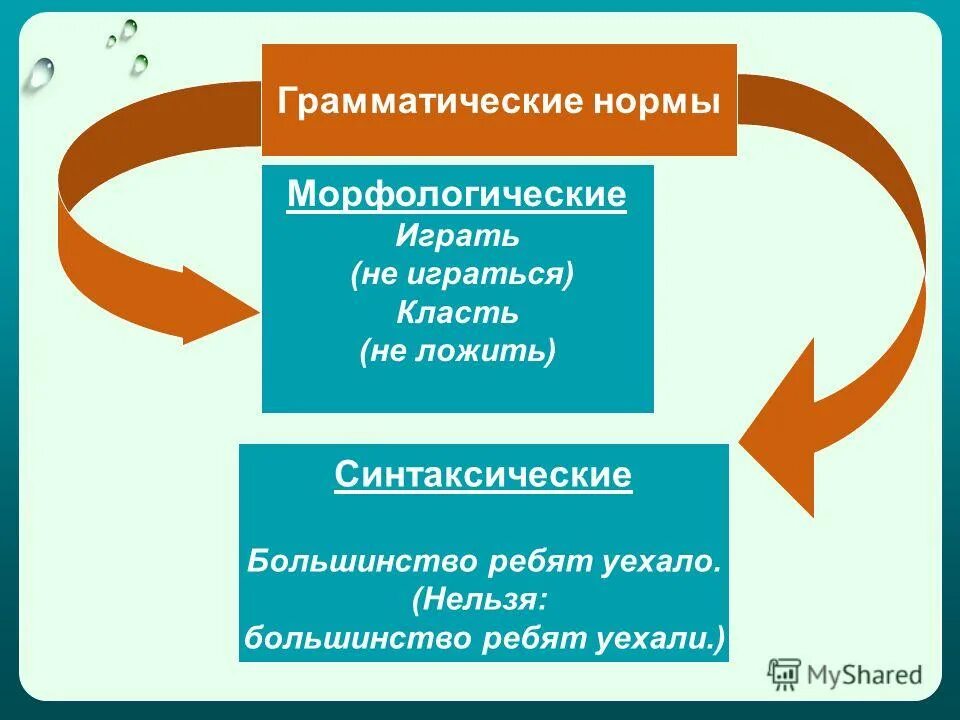 5 грамматические нормы