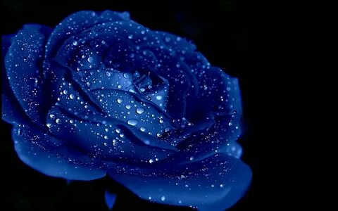 Ro blue
