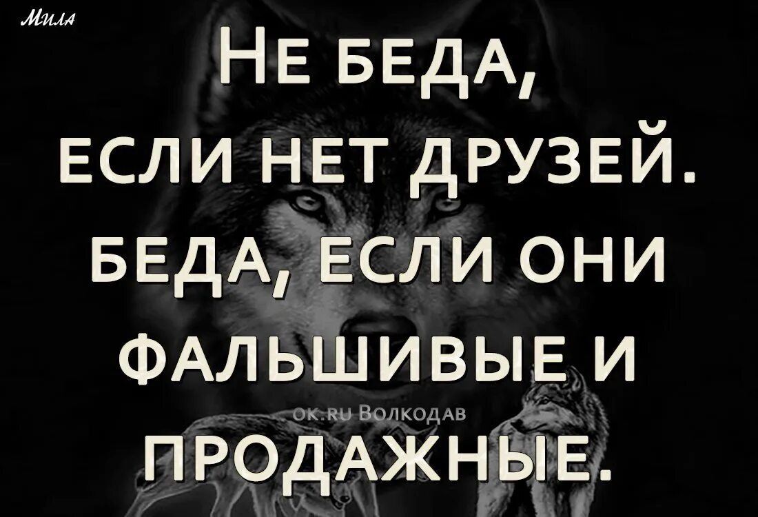 Если нет семьи нет друзей. Не беда если нет друзей беда если они фальшивые. продажные друзья статусы. продажный друг. статусы про продажных людей и сук.