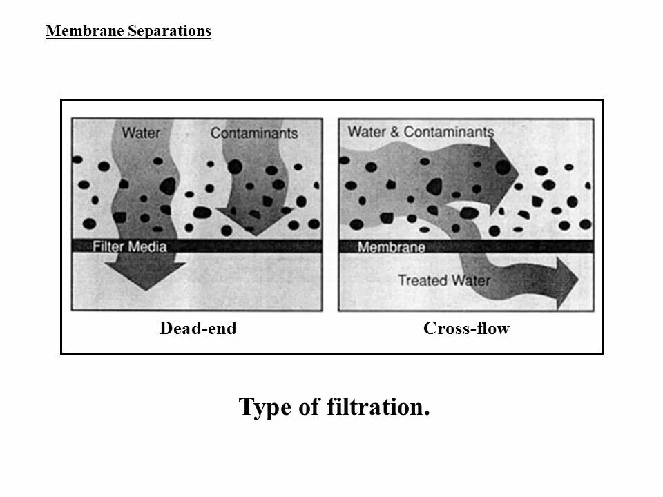 Separation перевод. Dead-end Filter membrane. Membrane in. Demarcation. Membrane denudation перевод.