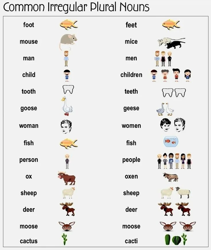 Irregular plural forms of nouns. Plural in english exceptions. irregular plurals для детей. irregular plurals список. irregular plurals in english.