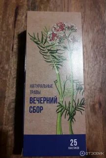 Вечерний сбор