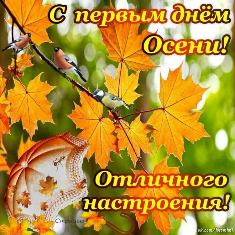 Доброе утро сентября