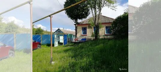 Бобровы дворы дом престарелых. Село бобровы дворы. Губкин теплый дом. Авито белгородская дом в селе бобровы дворы. Тёплый колодезь улица веселая.