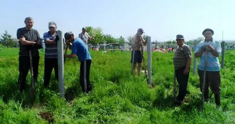 Рп5 нехаевская волгоградской
