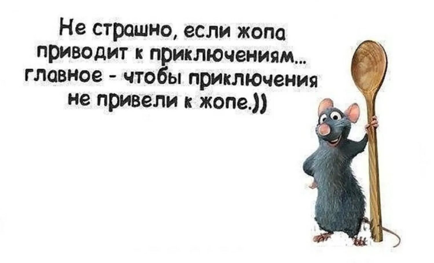 Смешные фразы про приключения на свою. Смешные цитаты о приключениях. Высказывания о приключениях. Приключений ищешь может что нибудь придумаем