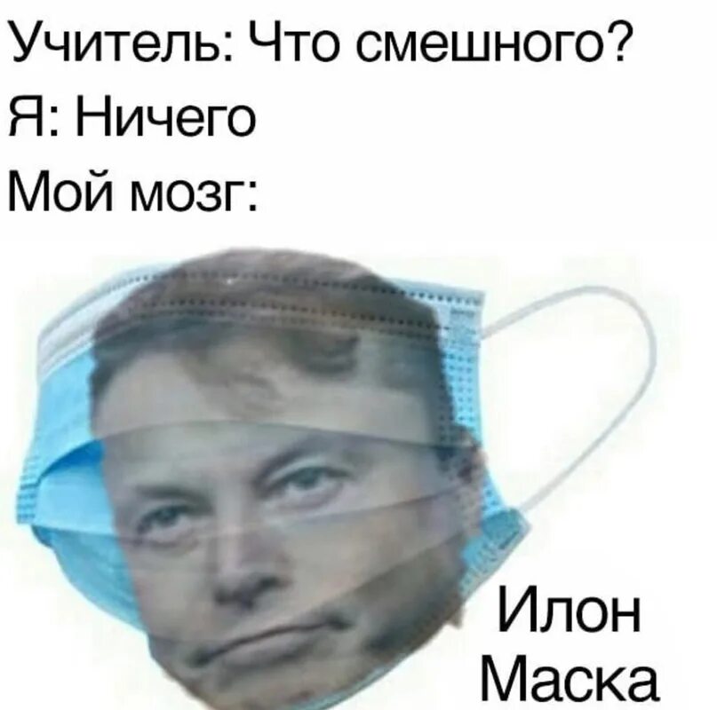 Мозги училки купить. Ильон маски Мем. This in ilon Mask Мем.