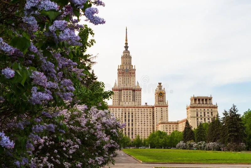 Мгу весной. Москва МГУ весной. Сирень МГУ. Сирень Московский университет. Москва весной.