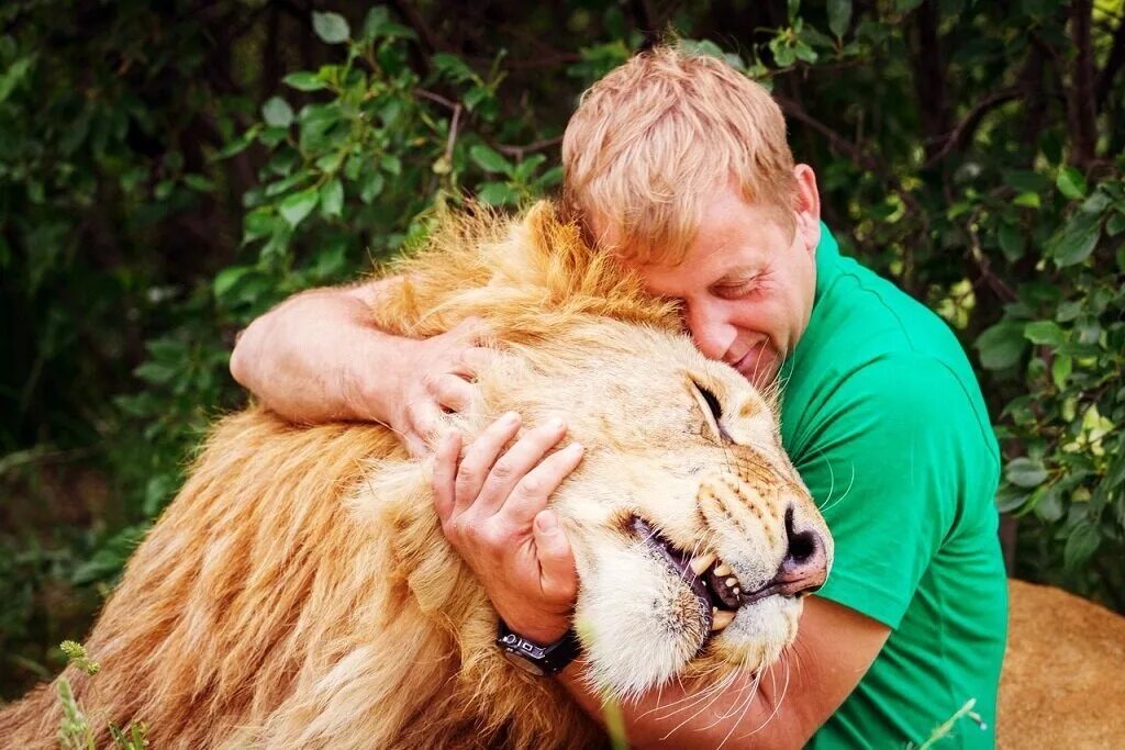 Владелец сафари. Владелец сафари. Тайган сафари парк. Сафари в крыму тайган. Сафари парк белогорск крым.