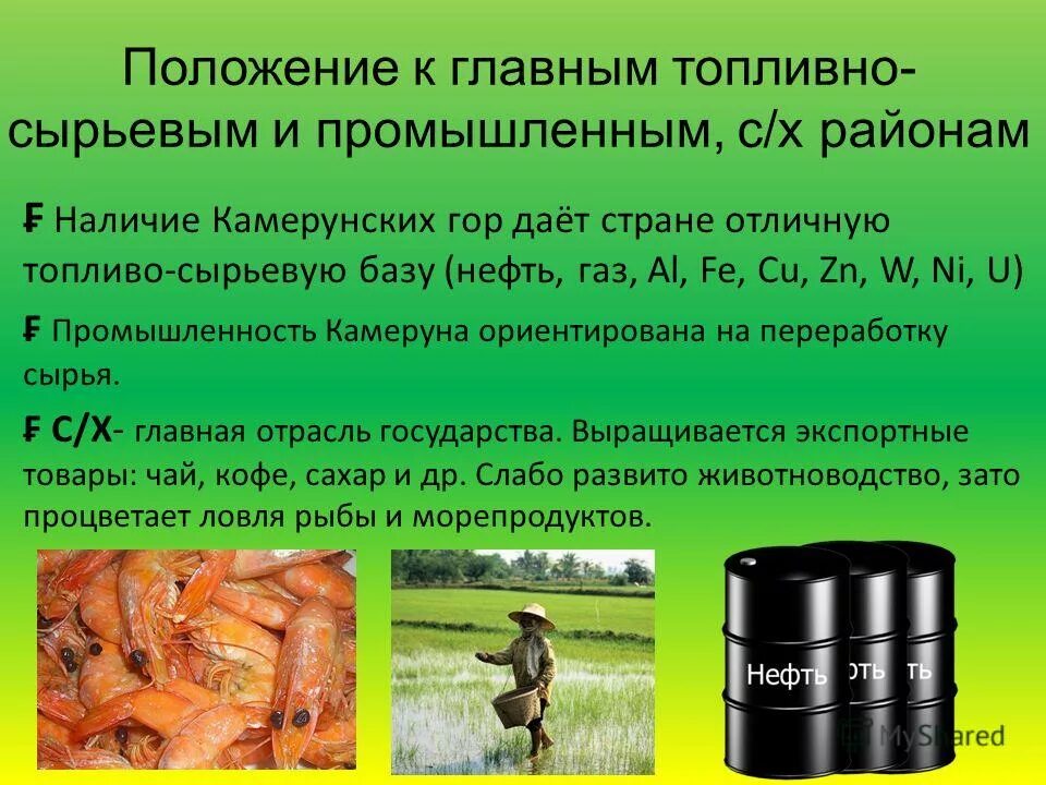 Положение поволжья относительно сырьевых и топливных баз. Печорский бассейн европейского севера. Сырьевые базы западной сибири. Положение по отношению к топливно-сырьевым базам. Сырьевые базы северного района.