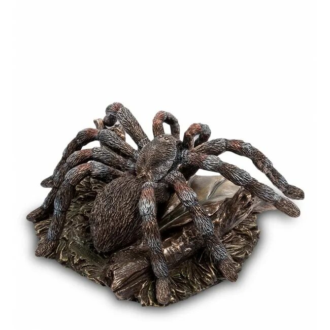 Фигурка паук. Фигурка пауков. Растущие пауки игрушки. Фигурка пауков. Фигура паучок.