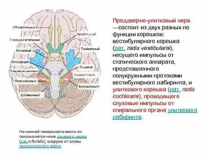 Укажите через