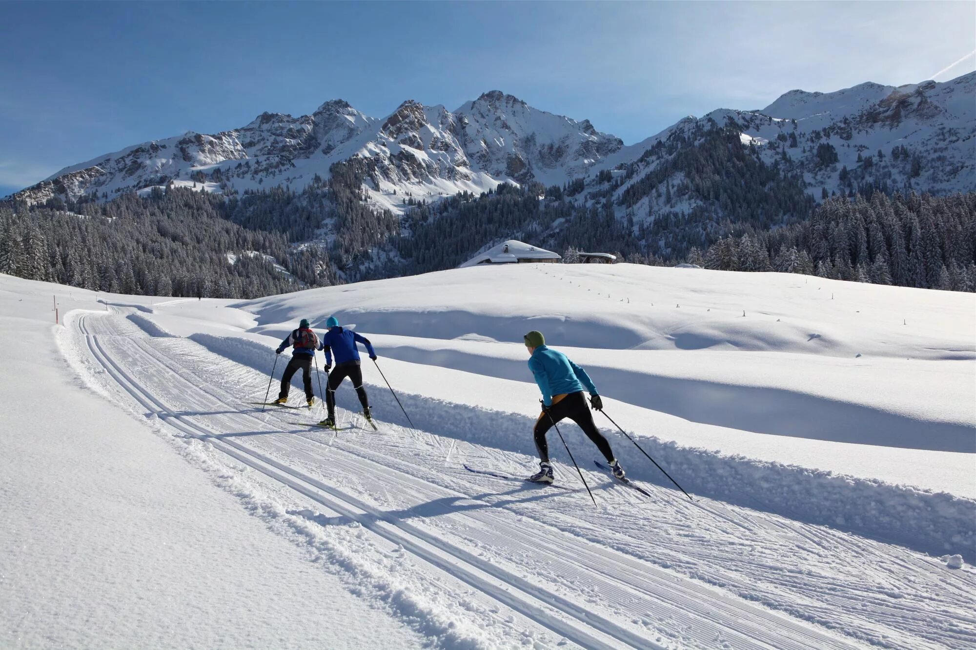 Кросс Кантри лыжи. Cross Country Downhill Skiing. Лыжник поднимается в гору. Les Mosses Skiing. Skiing cross country skis