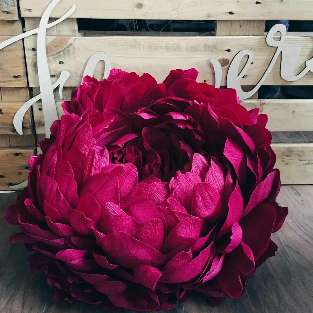 Пионы из гофробумаги. Пион из гофробумаги большой. Пионы из крепированной бумаги. Креповая бумага пионы. Пионы из бумаги.