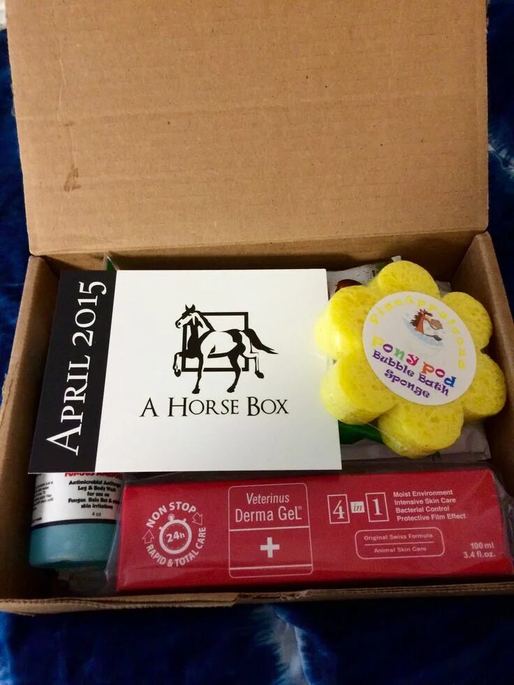 Horses box. Horses box. Horses box. Horse box. Horses box.