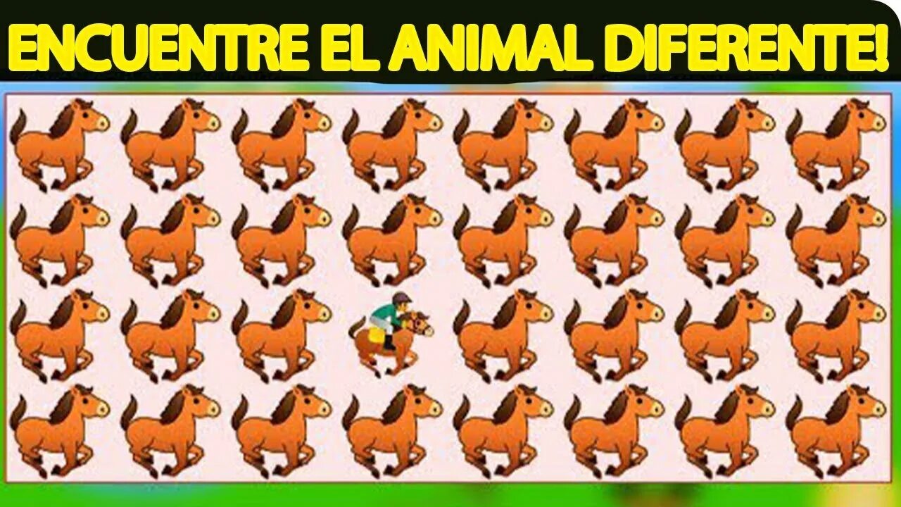 Find the odd one out. Odd one out animals. Find the odd. Find the odd out. Odd one out.