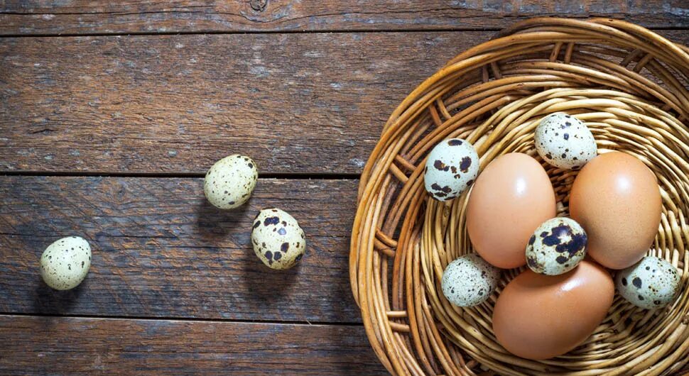 Куриное яйцо собаке. Бедана тухум. Яйцо перепелиное. Куриные и перепелиные яйца. Домашние перепелиные яйца.