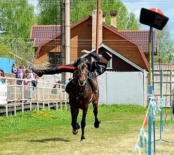 Фаворит конный
