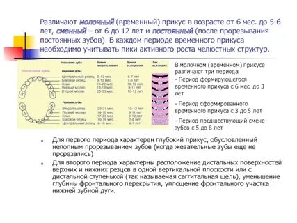 Прикус период