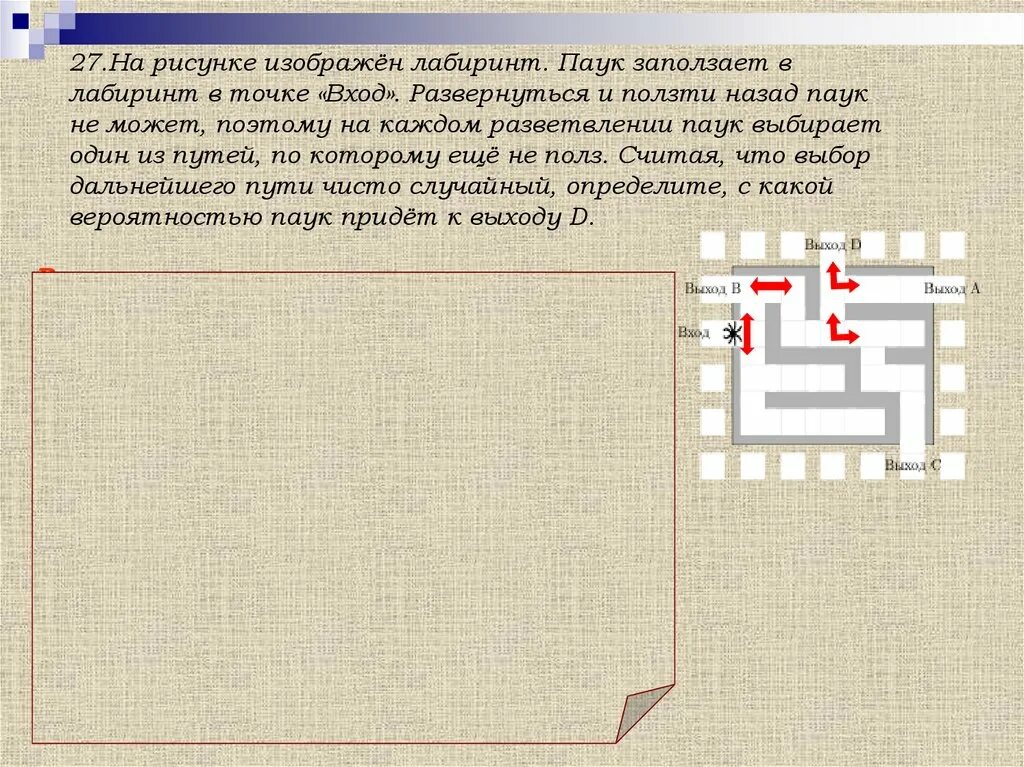 На рисунке изображен паук