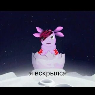 Я не дождался вскрылся умылся