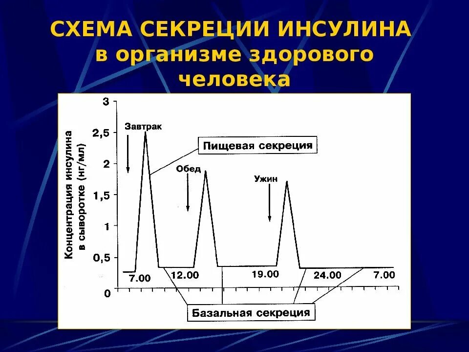 Базальная секреция инсулина. Схема выработки инсулина в организме. Фазы секреции инсулина. Прандиальная секреция инсулина. Инсулин в норме а глюкоза повышена