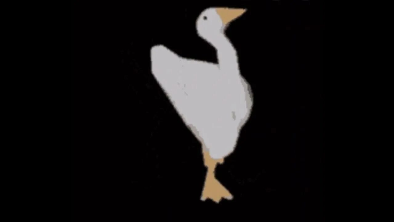 Ручной гусь. Гусь танцует. Танец гусей. Танец гусей. Гусь на черном фоне.