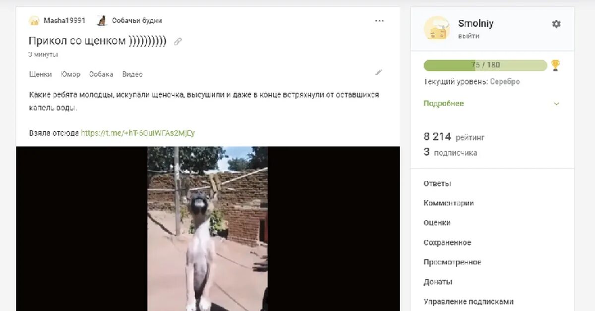 Почему убрали раю. Почему убрали раю