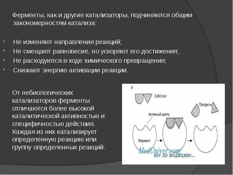 Ферменты расходуются в ходе реакции. Ферменты биологические катализаторы. общие закономерности катализа. фермент расходуются в результате катализа или нет.