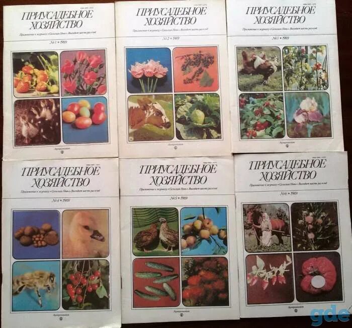 Обложки журнала приусадебное хозяйство. Юбилей журнала. Приусадебное хозяйство 1 2024. Приусадебное хозяйство 1 2024. Приусадебное хозяйство 1 2024.