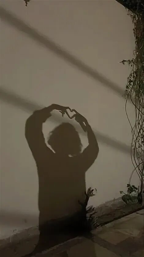 Hiding in shadow. Hiding in shadow