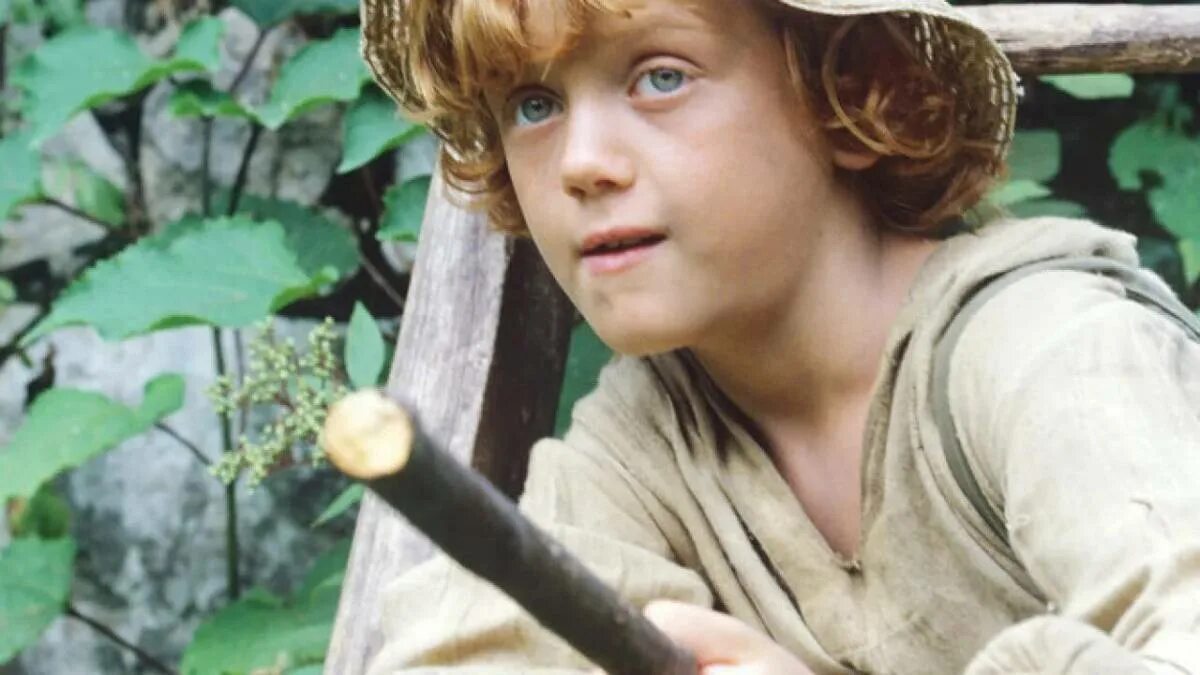 Tom sawyer